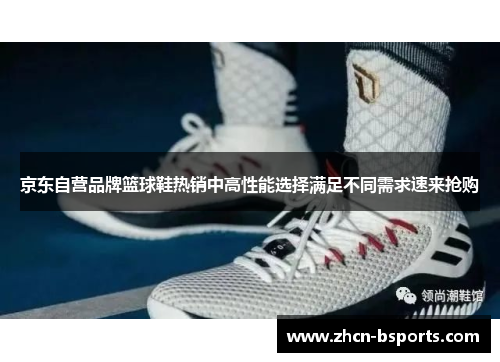 京东自营品牌篮球鞋热销中高性能选择满足不同需求速来抢购