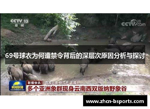 69号球衣为何遭禁令背后的深层次原因分析与探讨