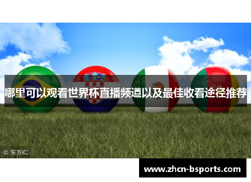 哪里可以观看世界杯直播频道以及最佳收看途径推荐